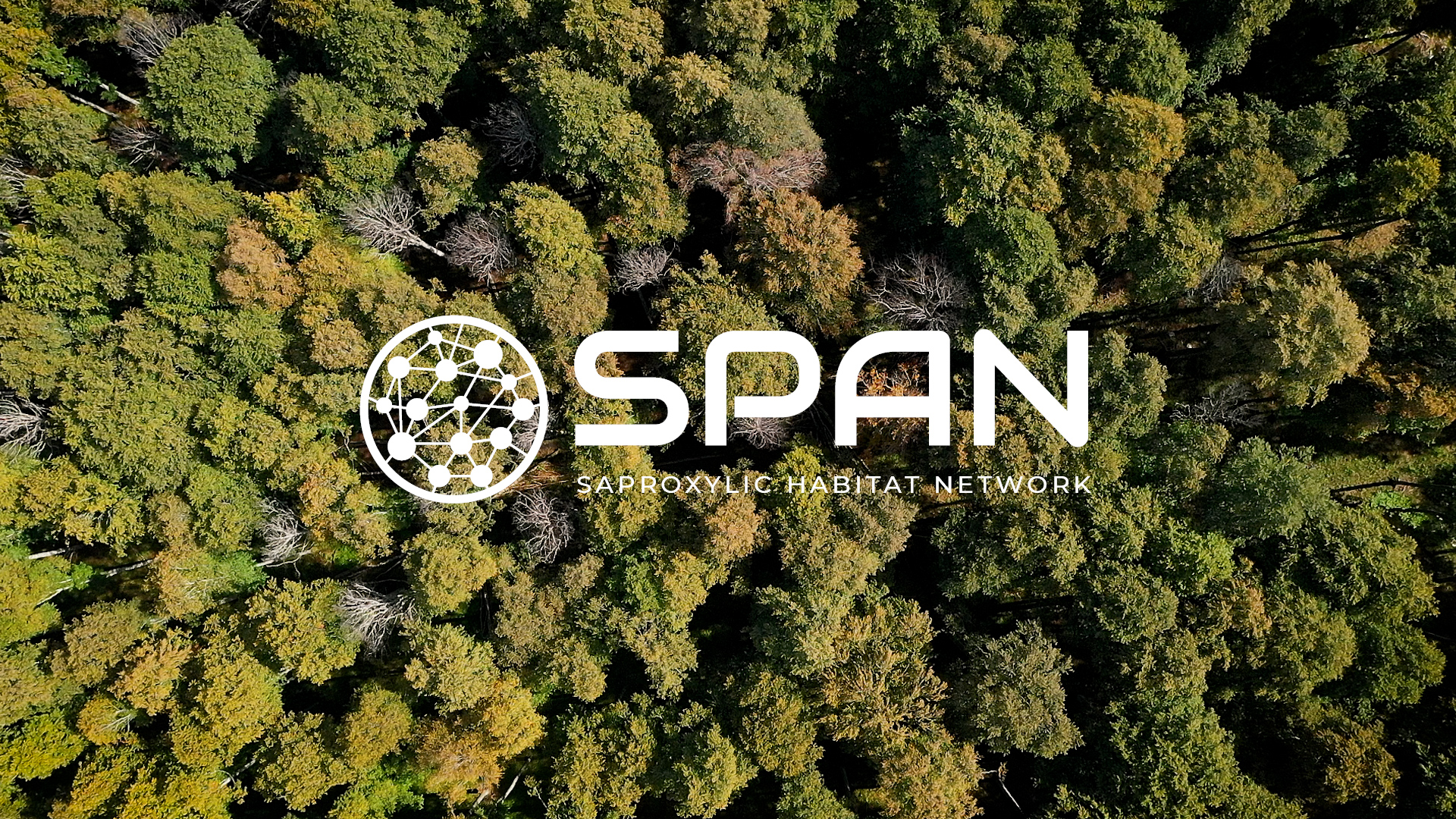 Online il video di lancio del progetto LIFE SPAN