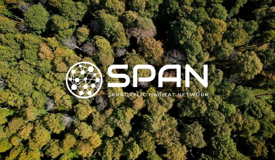 Online il video di lancio del progetto LIFE SPAN