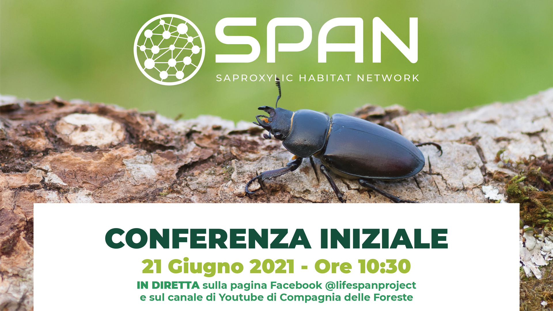 Save the date! Conferenza Iniziale LIFE SPAN