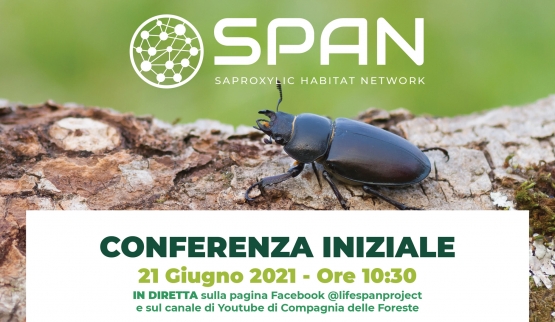 Save the date! Conferenza Iniziale LIFE SPAN