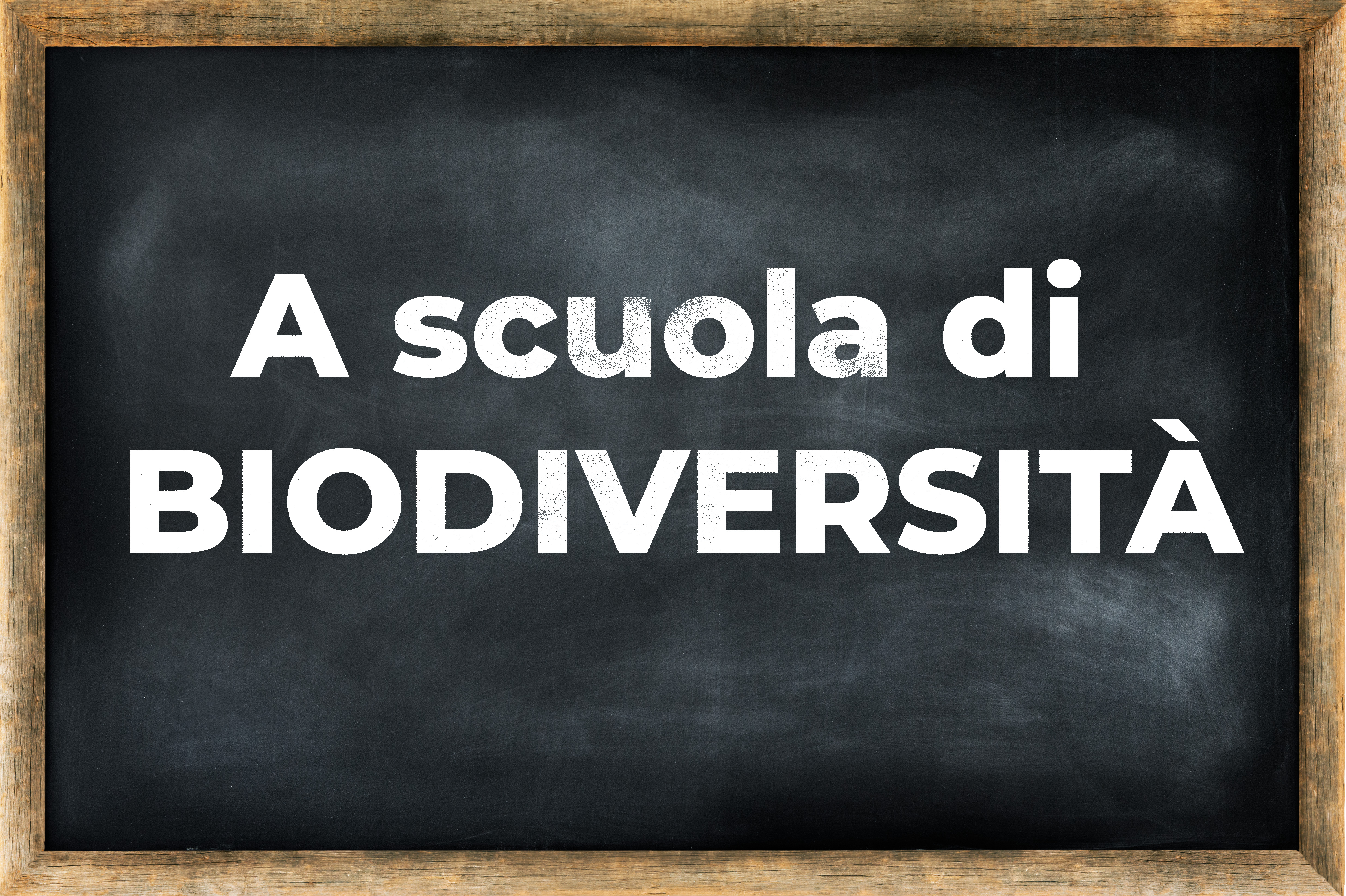 Scuola Biodiversità