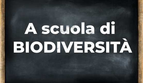 Scuola Biodiversità