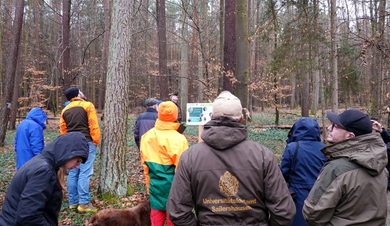 Workshop e inaugurazione del sentiero dimostrativo nella foresta di Sailershausen