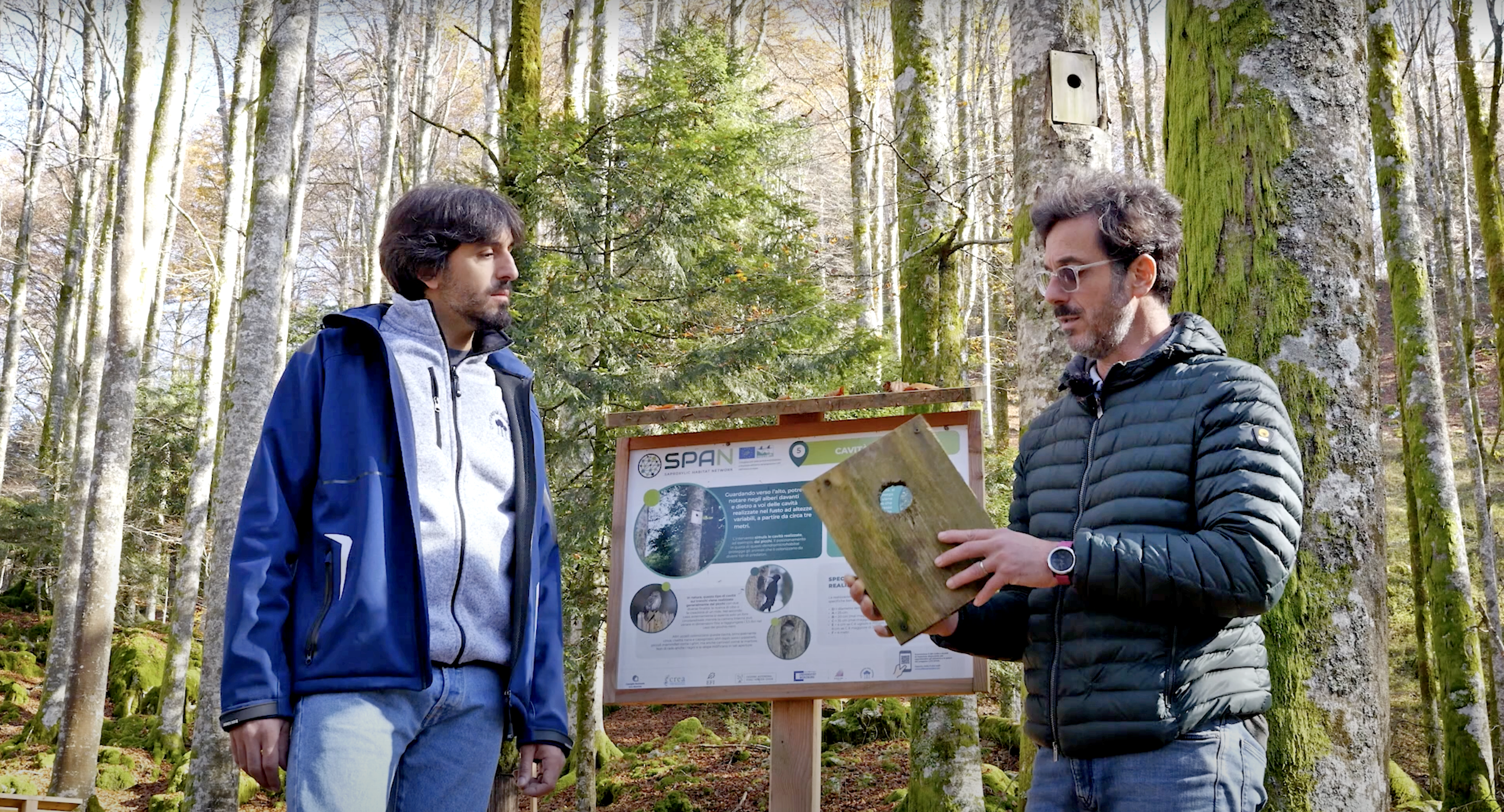 Building Biodiversity: 5 Videos for Technicians on Creating SHS