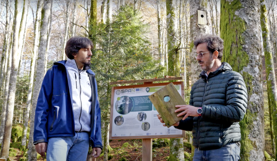 Costruire biodiversità: 5 video dedicati ai tecnici per la creazione delle SHS