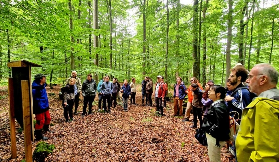 Researchers Visit LIFE SPAN Demonstration Sites During the Annual Meeting of the Ecological Society of Germany, Austria and Switzerland