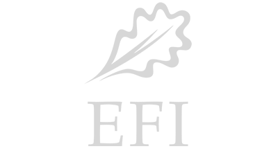 EFI