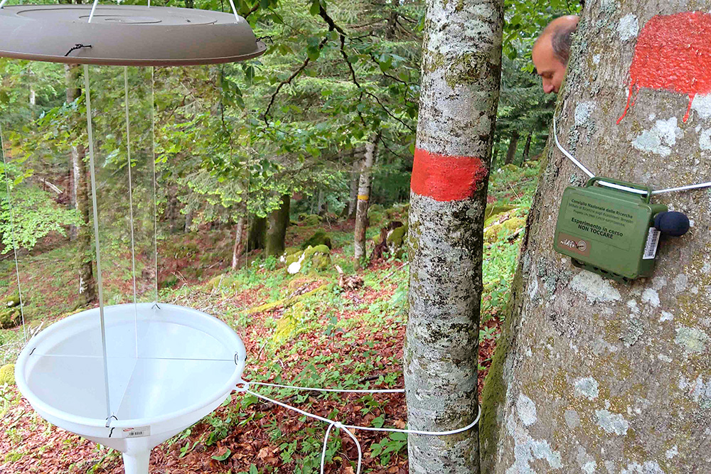 monitoraggio insetti uccelli pipistrelli 2