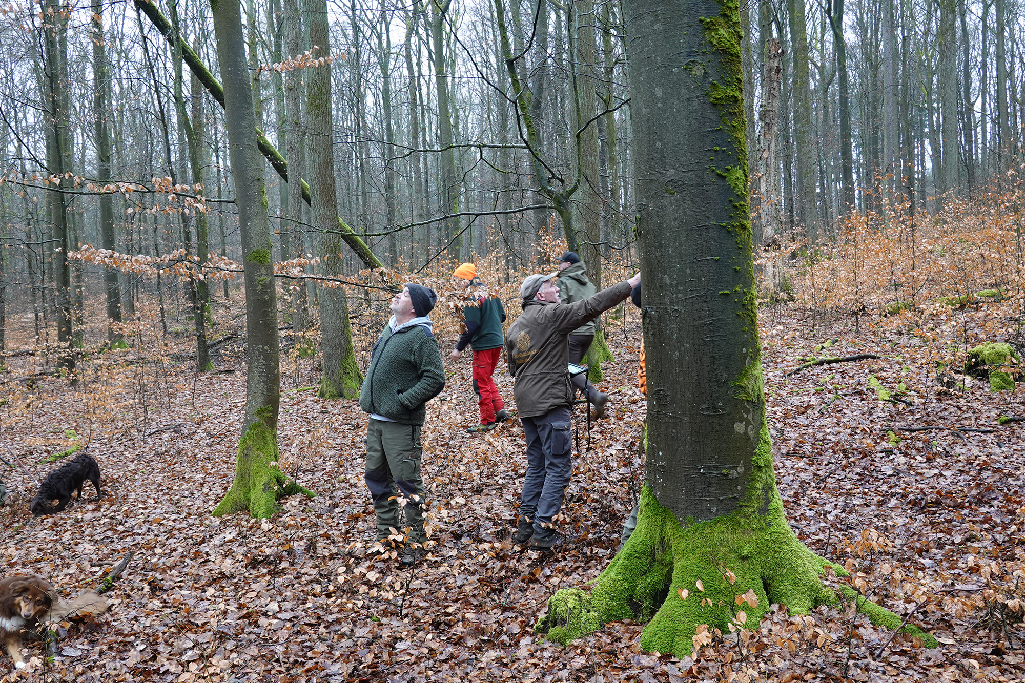 Workshop e inaugurazione del sentiero dimostrativo nella foresta di Sailershausen - 2