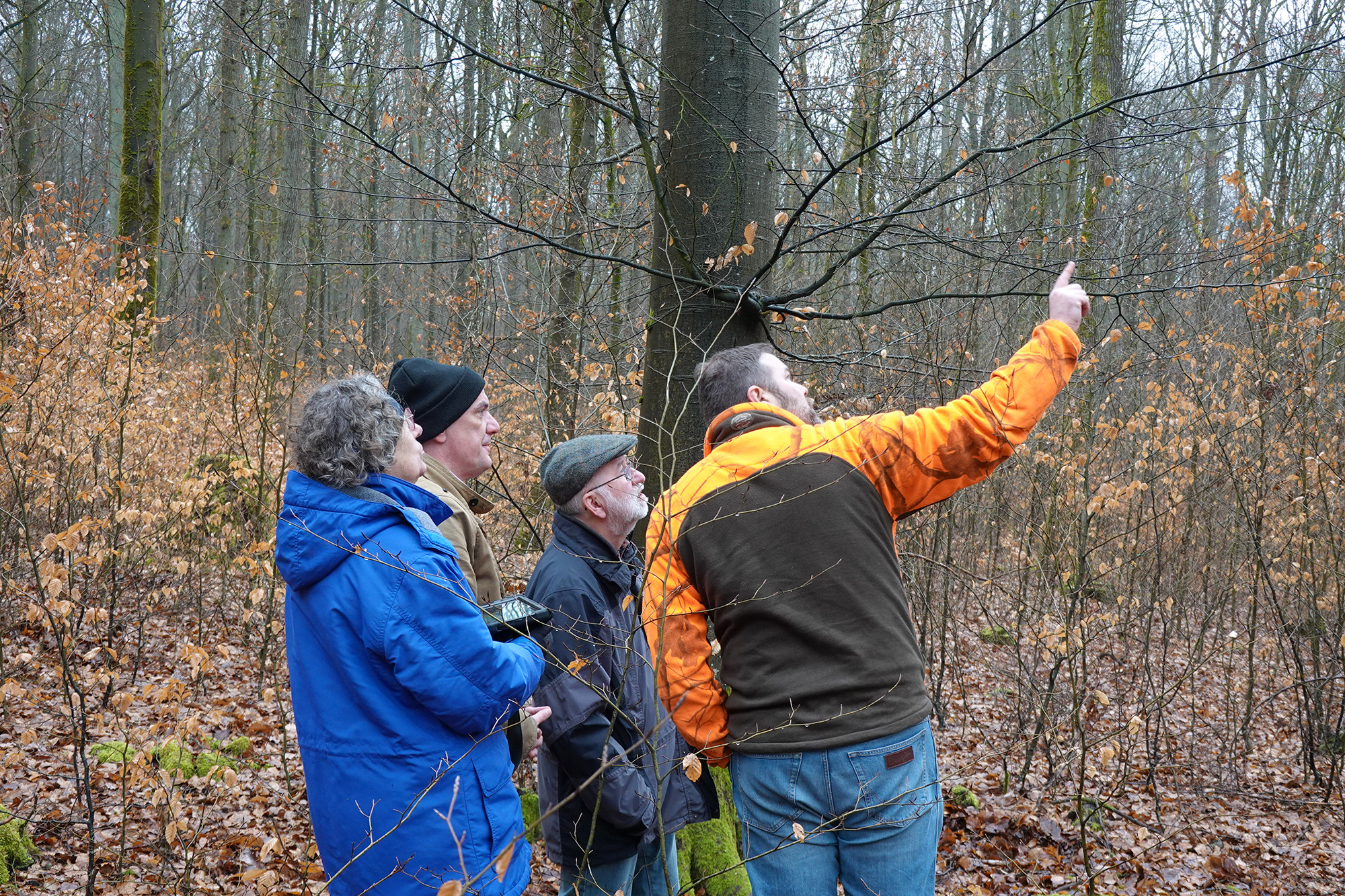 Workshop e inaugurazione del sentiero dimostrativo nella foresta di Sailershausen - 3