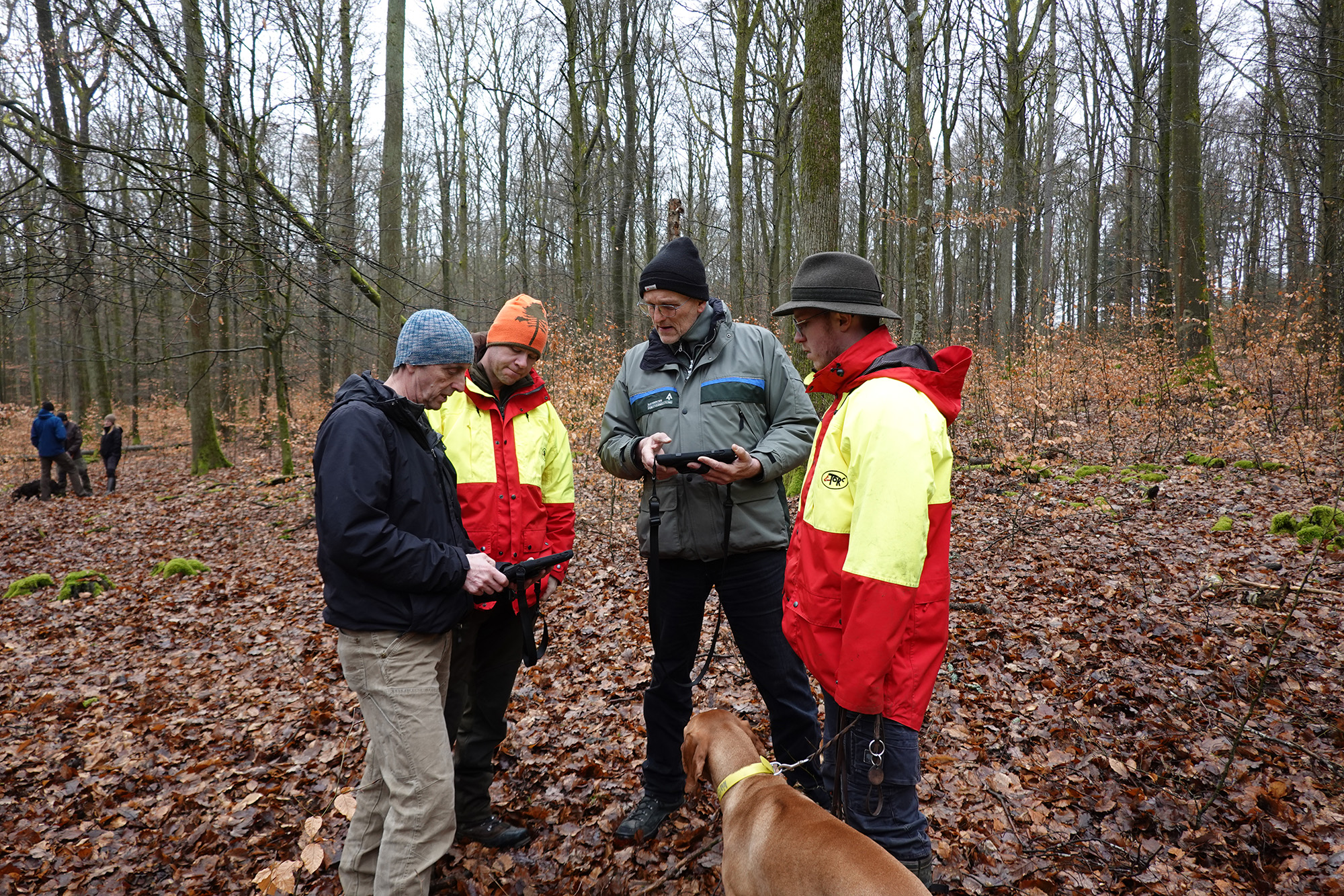 Workshop e inaugurazione del sentiero dimostrativo nella foresta di Sailershausen - 4