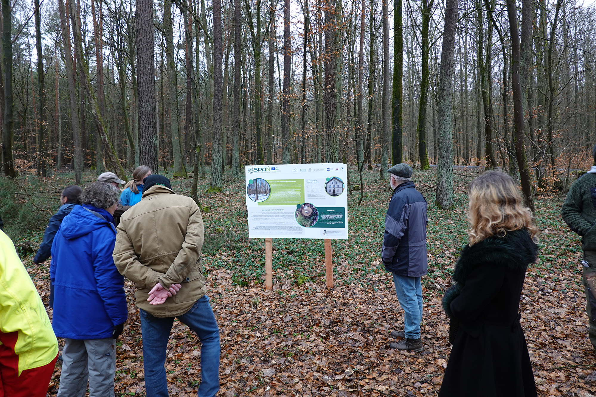Workshop e inaugurazione del sentiero dimostrativo nella foresta di Sailershausen - 5