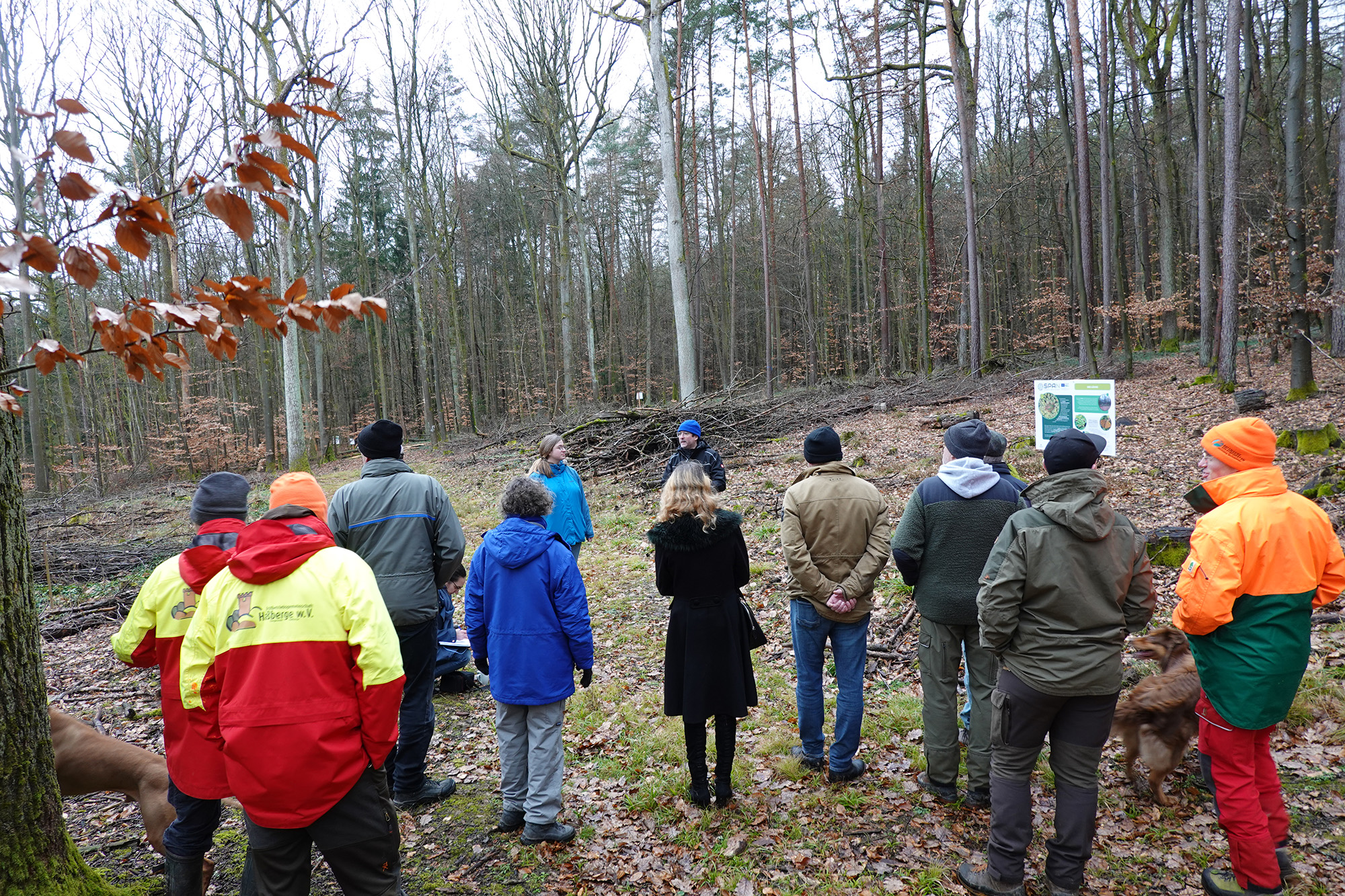 Workshop e inaugurazione del sentiero dimostrativo nella foresta di Sailershausen - 6