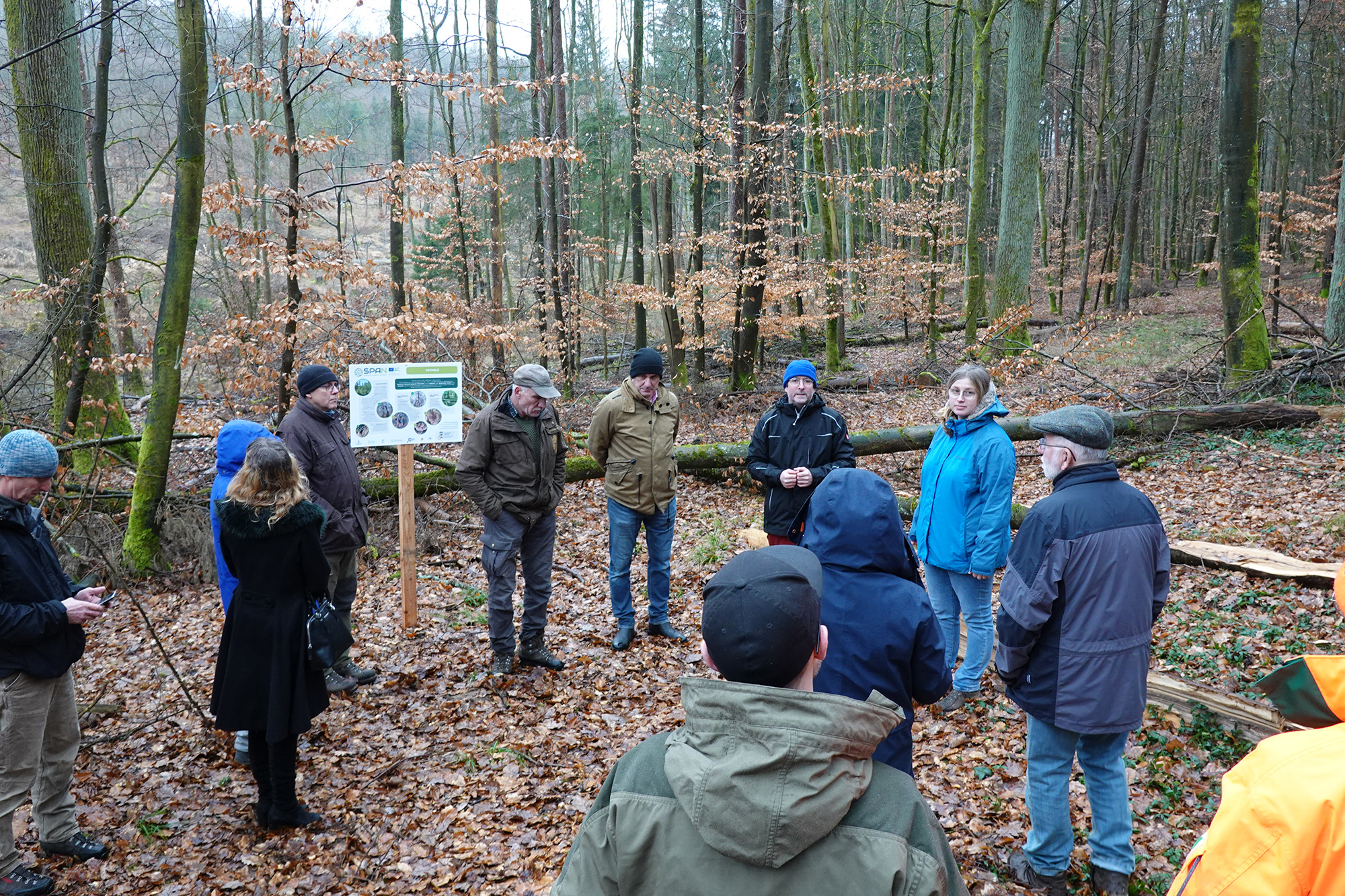Workshop e inaugurazione del sentiero dimostrativo nella foresta di Sailershausen - 7