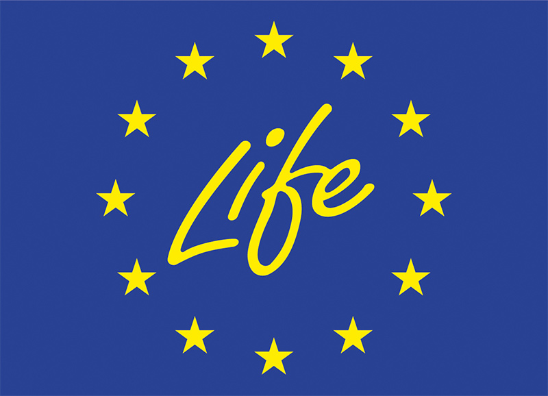 LIFE_logo.jpg